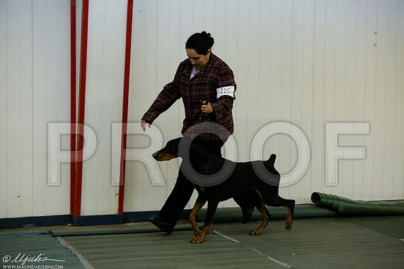 _MJ_4053-DentonMar2015-HR3
