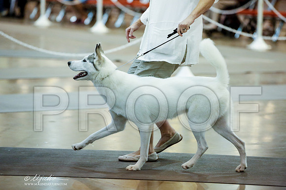 _JJ_4515-HstnJul2014-HR3