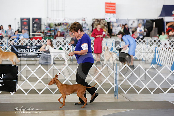 _JJ_7434-DallasJul2014-HR3