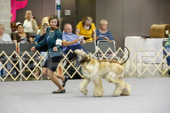 _JJ_0680-AfgBeltonOct2014-HR3