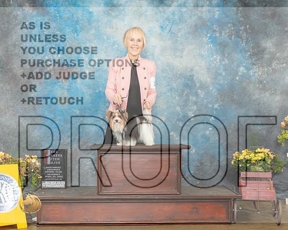Biewer Terrier #14 Sat BOSWB Judge Ray Filburn-MMJ_0625-NWARK2022-HR3