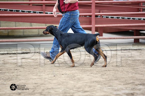 MJ2_2099-WacoFeb14-HR