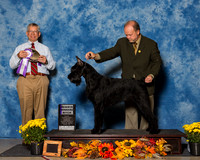 Giant Schnauzers #36 Sat RWB Seaman Kathi Christine Lietzau Judge Richard J Lewis