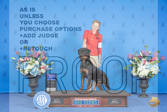 Rottweiler #21 SUN WD BOW Judge Ronald Freeman__JP_0082_Houston_2024_HR3