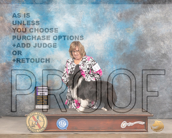 Shetland Sheepdog #11 Fri RWD Judge Barbara AldermanMMJ_3195_Mdlnd2022_HR3