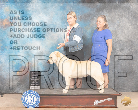 Labrador Retriever #23 Fri OHG1 Judge Eric Liebes-MMJ_4555-Abilene2022-HR3