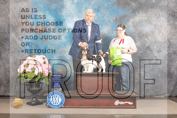 English Toy Spaniel #5 Sat G1 Judge John Wade_MJ_7255_Houston_2022_HR3