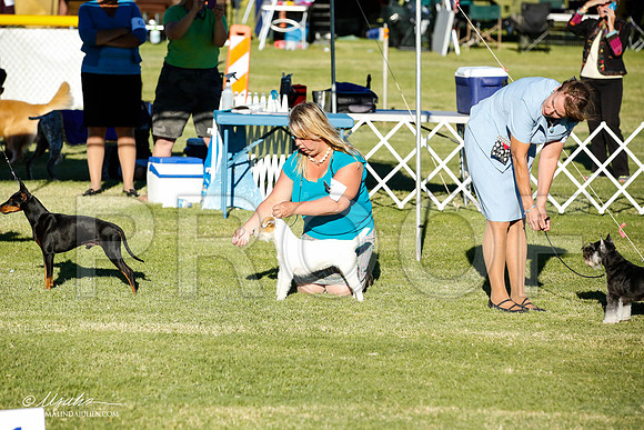_JN_0012-AlamogordoOct2014-HR3
