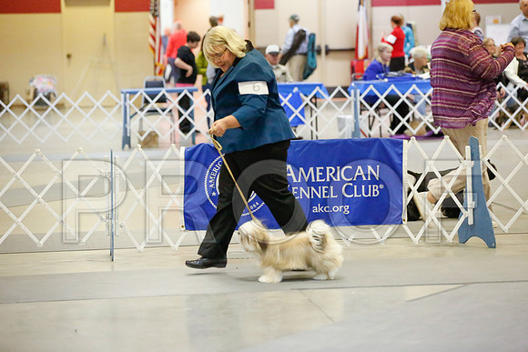 _JJ_8198-AmarilloSept2014-HR3