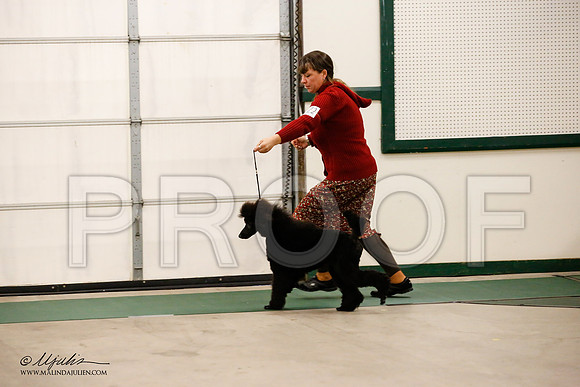 _JN_1049-NrmnNov2014-HR3