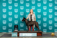Dutch Shepherd #1107 Thur Judge Stephanie Mueller