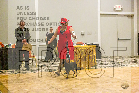Manchester Terrier MTOY Candids-JJL_2203-Hstn2022_HR3