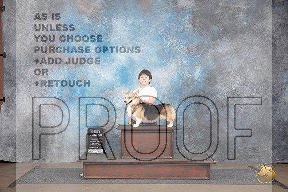 Pembroke Welsh Corgi #105 Sat BJr Judge Jennifer Landers__JP_2602_LongviewTX_2024_HR3