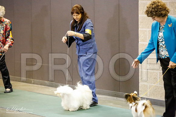 _JN_5729-BeltonJan2015-HR3