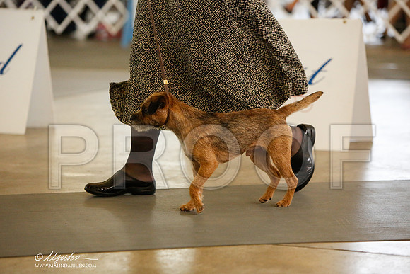 _JJ_2233-DallasJul2014-HR3