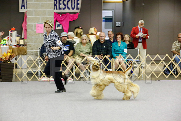 _JJ_0008-AfgBeltonOct2014-HR3