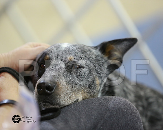 ACD-9271-HtoJan2014-HR3