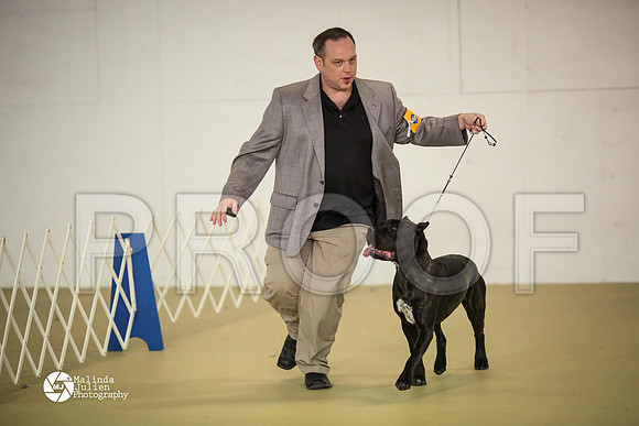 Cane-7420-HtoJan14-HR