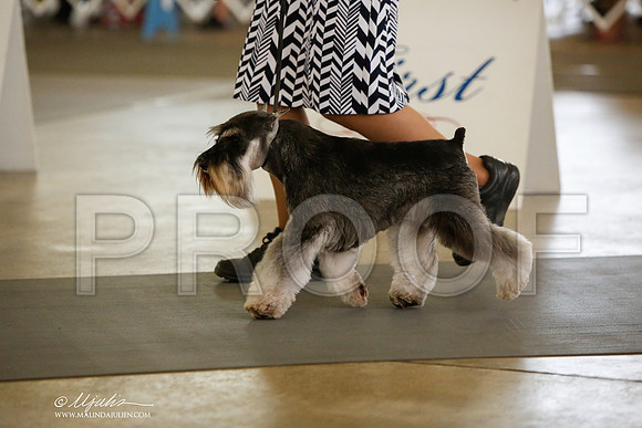_JJ_2188-DallasJul2014-HR3