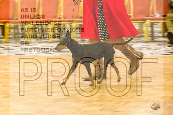 Manchester Terrier MTOY Candids-JJL_2219-Hstn2022_HR3