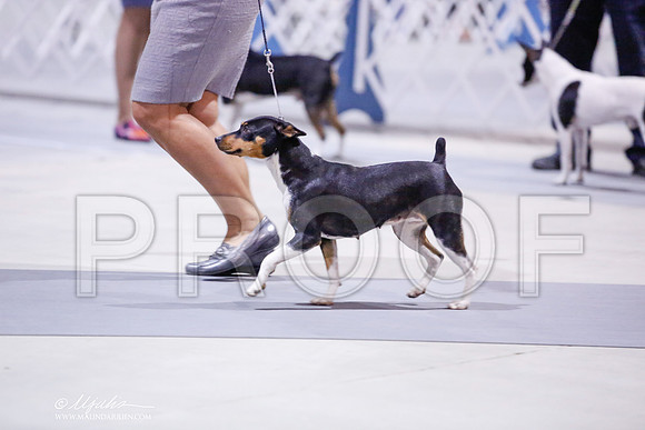 _JN_8457-SAJul2014-HR3