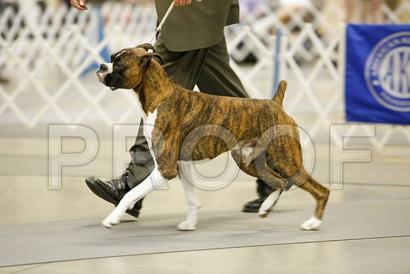 _JJ_8419-AmarilloSept2014-HR3