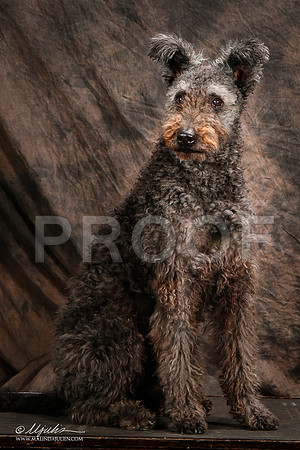 _ST_3954-2-Pumi-HR3