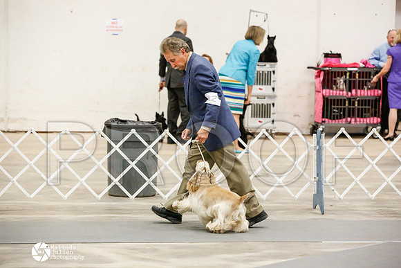 _JN_0655-AblnMay2014-web