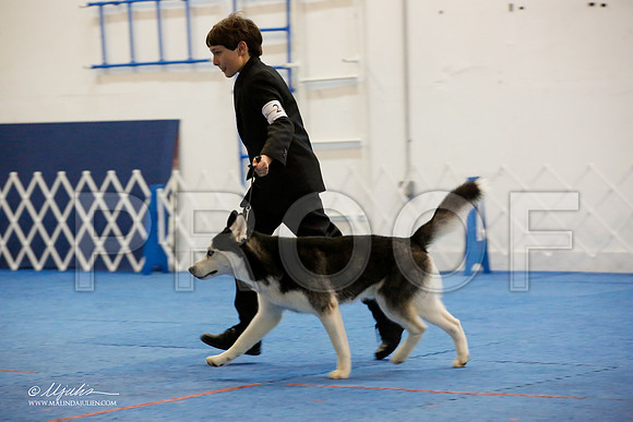 _M3_9668-AddisonHuskyMar2015-HR3