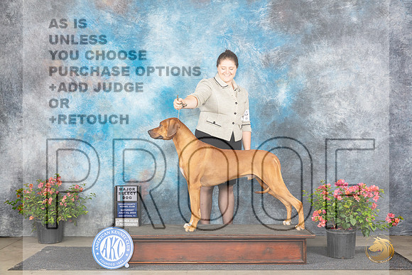 Rhodesian Ridgeback #17 Sat SD Judge Victor Rosado __JP_4829_San Antonio_2024_HR3