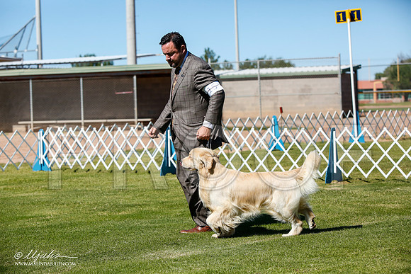 _JJ_4879-AlamogordoOct2014-HR3