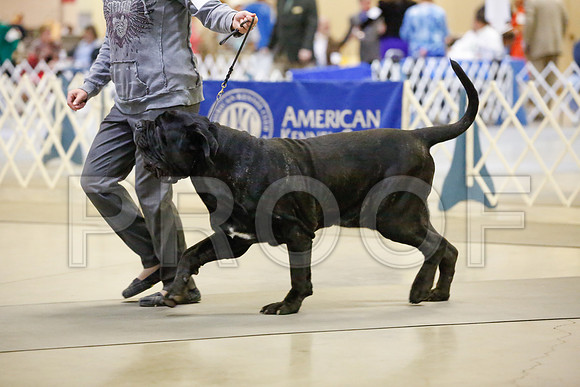 _JJ_6802-AmarilloSept2014-HR3