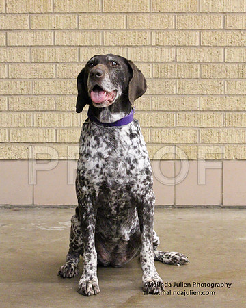 GSP-0162