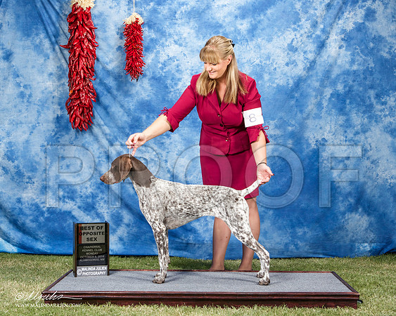 _ST_3673-AlamogordoOct2014-HR3
