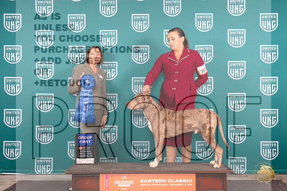 LCLD #207 Sat G1 Judge Tina Camp__JP_2078_UKCEastern_2024_HR3