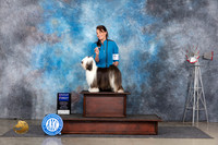 Tibetan Terrier #16 Thurs G1 Judge Denise Dean