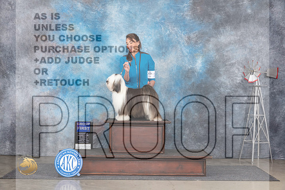 Tibetan Terrier #16 Thurs G1 Judge Denise Dean__JP_4971_Amarillo_2024_HR3