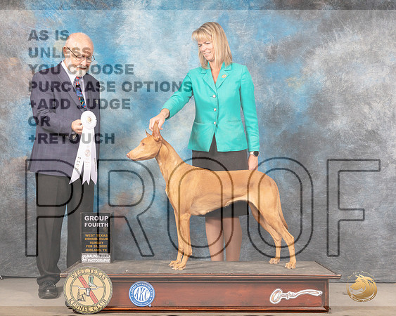 Pharoah Hound #8 Sun G4 Judge Gary AndersenMMJ_5640_Mdlnd2022_HR3
