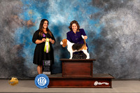 Beagle #8 WED BISweeps Judge Nathalie Bearden
