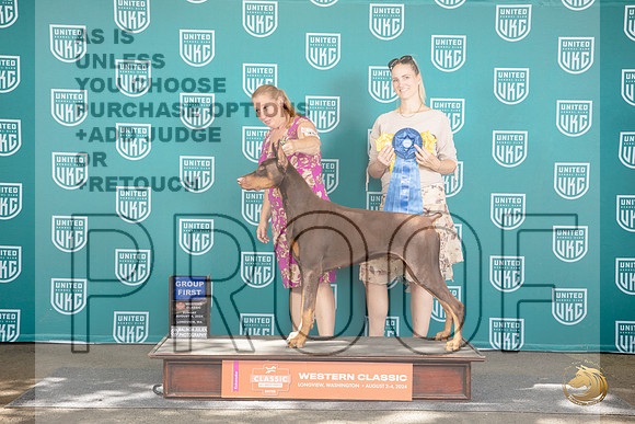 Dobermann Pinscher #409 Sun G1 Judge Sharron Griffin__JP_1978_Longview WA_2024_HR3