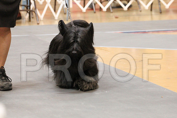 MJS_8336
