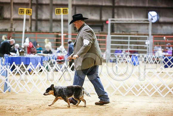 _JN_4325-2-GlenRoseJan2015-HR3