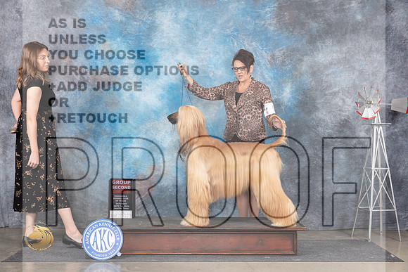 Afghan Hound #6 Sat G2 Judge Pat Trotter__JP_5990_Amarillo_2024_HR3