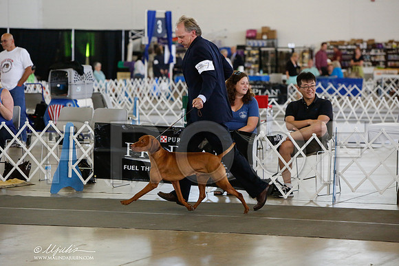_JJ_1251-DallasJul2014-HR3