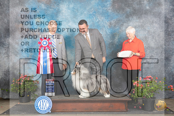 Shetland Sheepdog #5 Sun BIS Judge Paul Willhauck__JP_6437_San Antonio_2024_HR3
