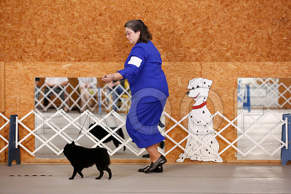 _RH_9138-CarlrolltonSept2014-HR3