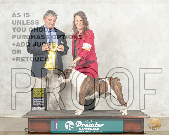 Olde English Bulldogee #1059 Sat G4 Judge Ron Sacca__MJ_8513_Premier_2022_HR3