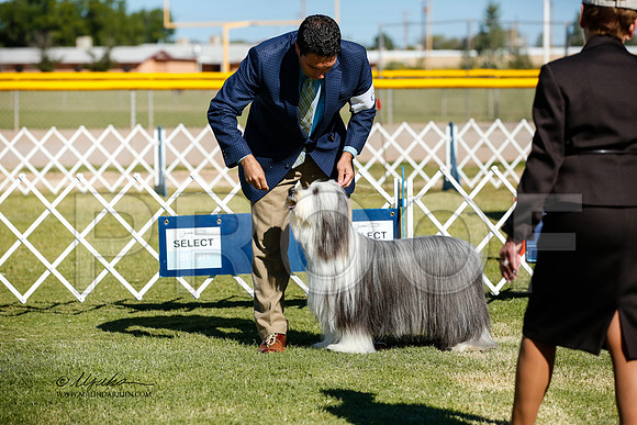 _JJ_2594-AlamogordoOct2014-HR3