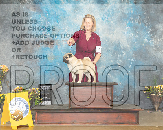 Pug #8 Sun G4 Judge Ray Filburn-MMJ_1966-NWARK2022-HR3