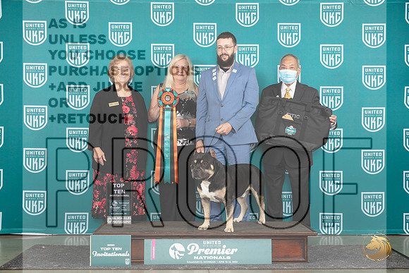 American Bully #825 Thur T10 3rd__JP_1391_Premier_2024_HR3